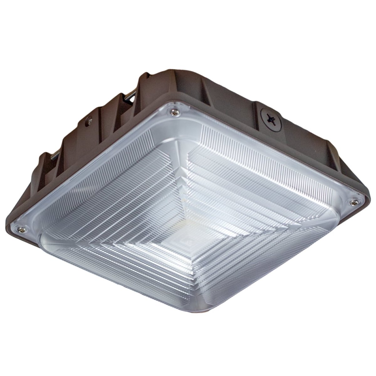 Canopy Light