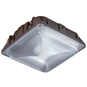 Canopy Light