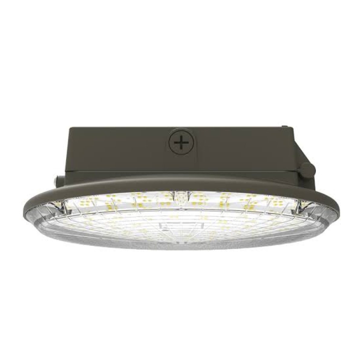 Canopy Light