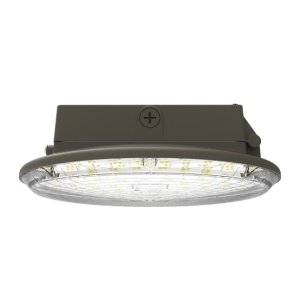 Canopy Light