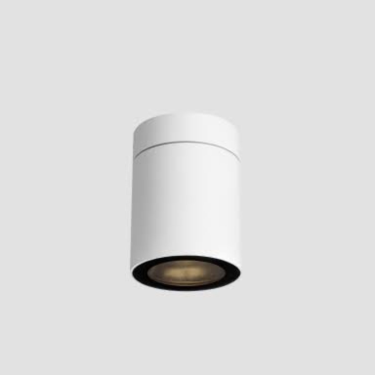 Canopy Light