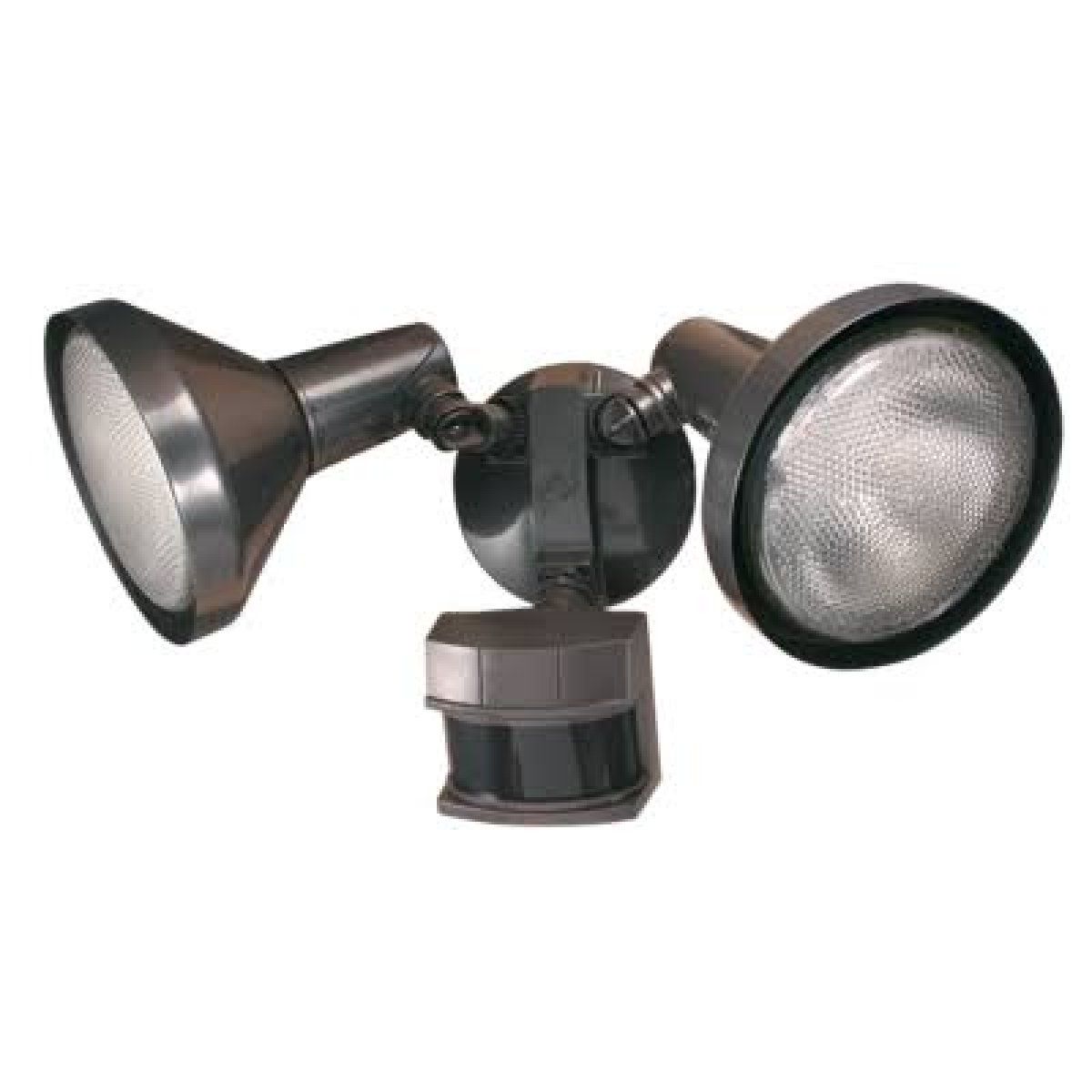 Security Light