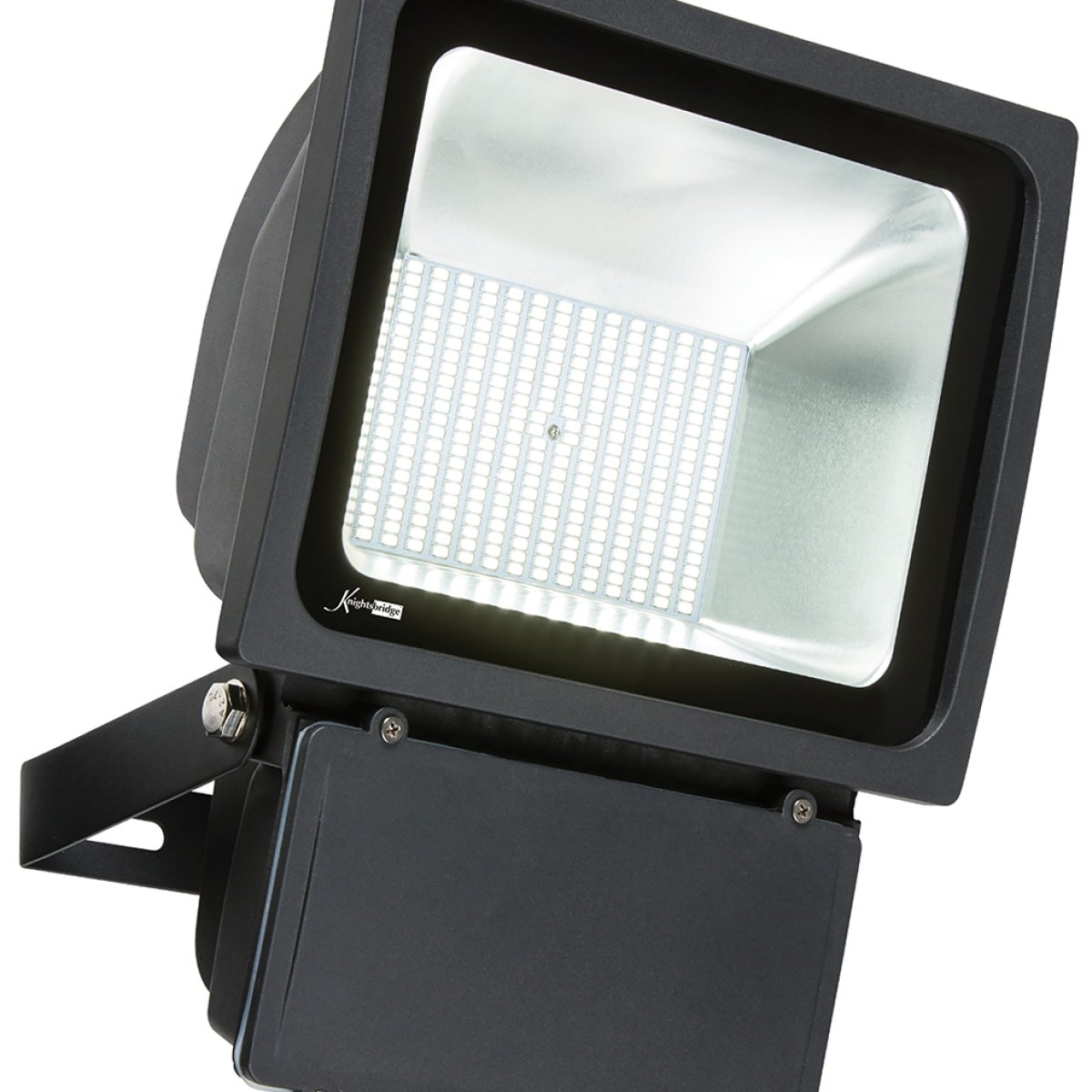 Security Light