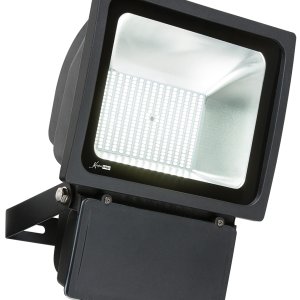 Security Light