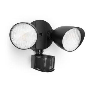 Security Light