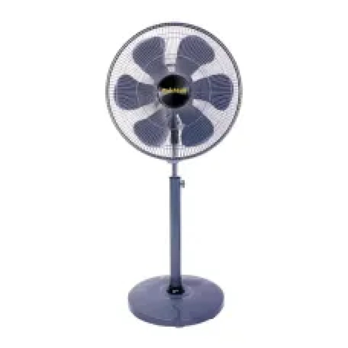 Stand Fan