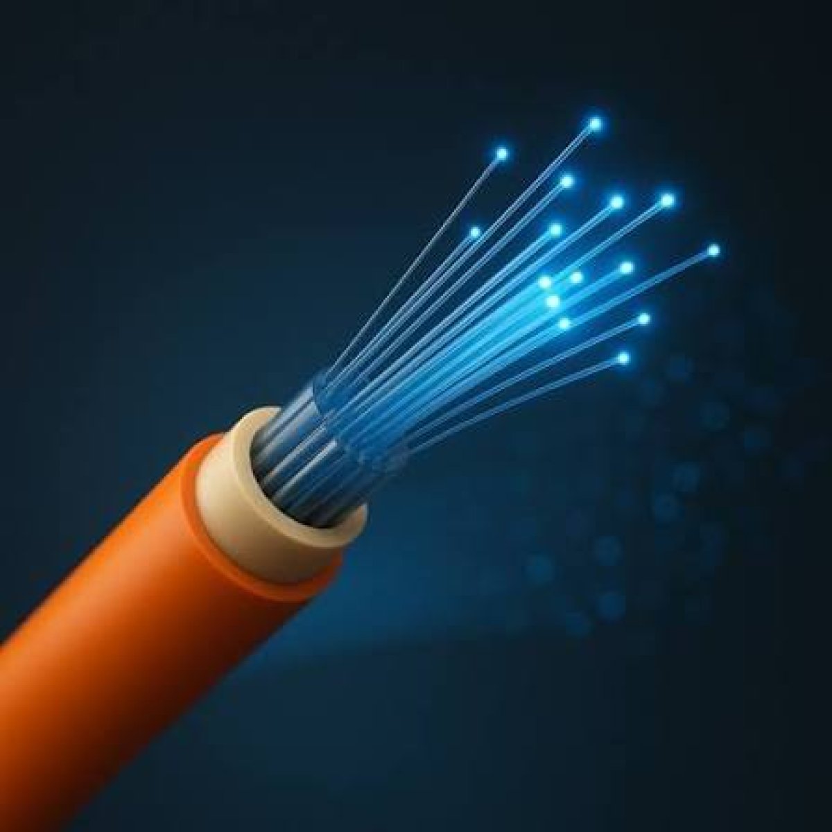 Fiber Optic