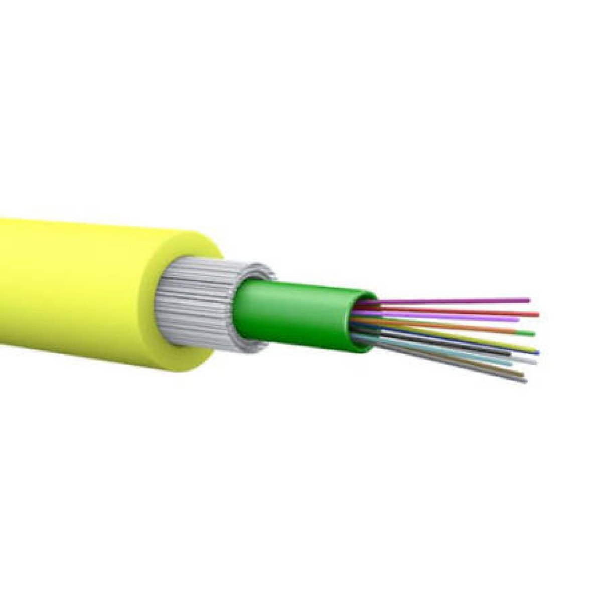 Fiber Optic
