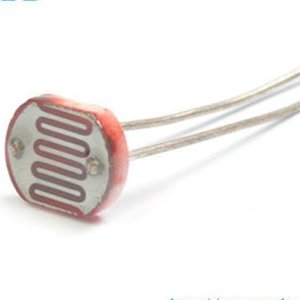 Photocell (Cds Sensor)