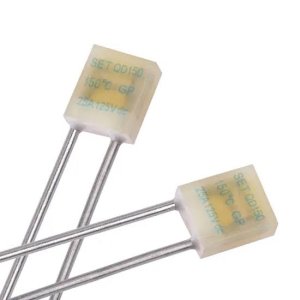 Thermal Fuse