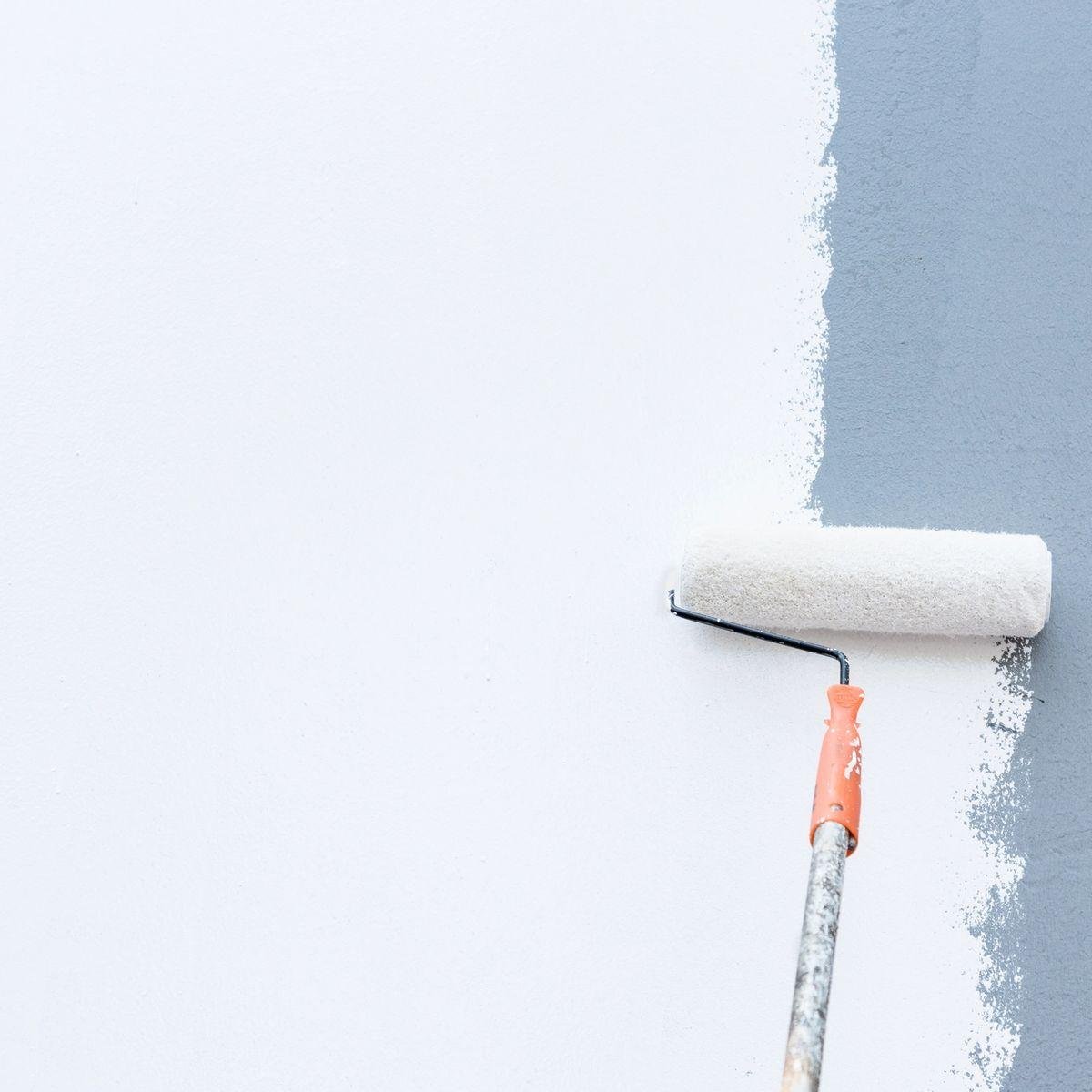 Paint Roller