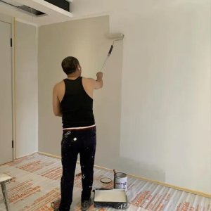 Emulsion Paint