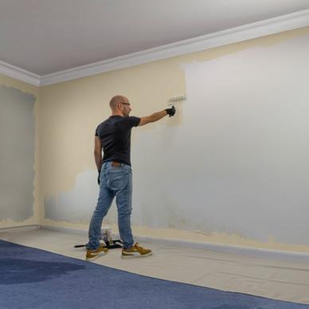 Emulsion Paint