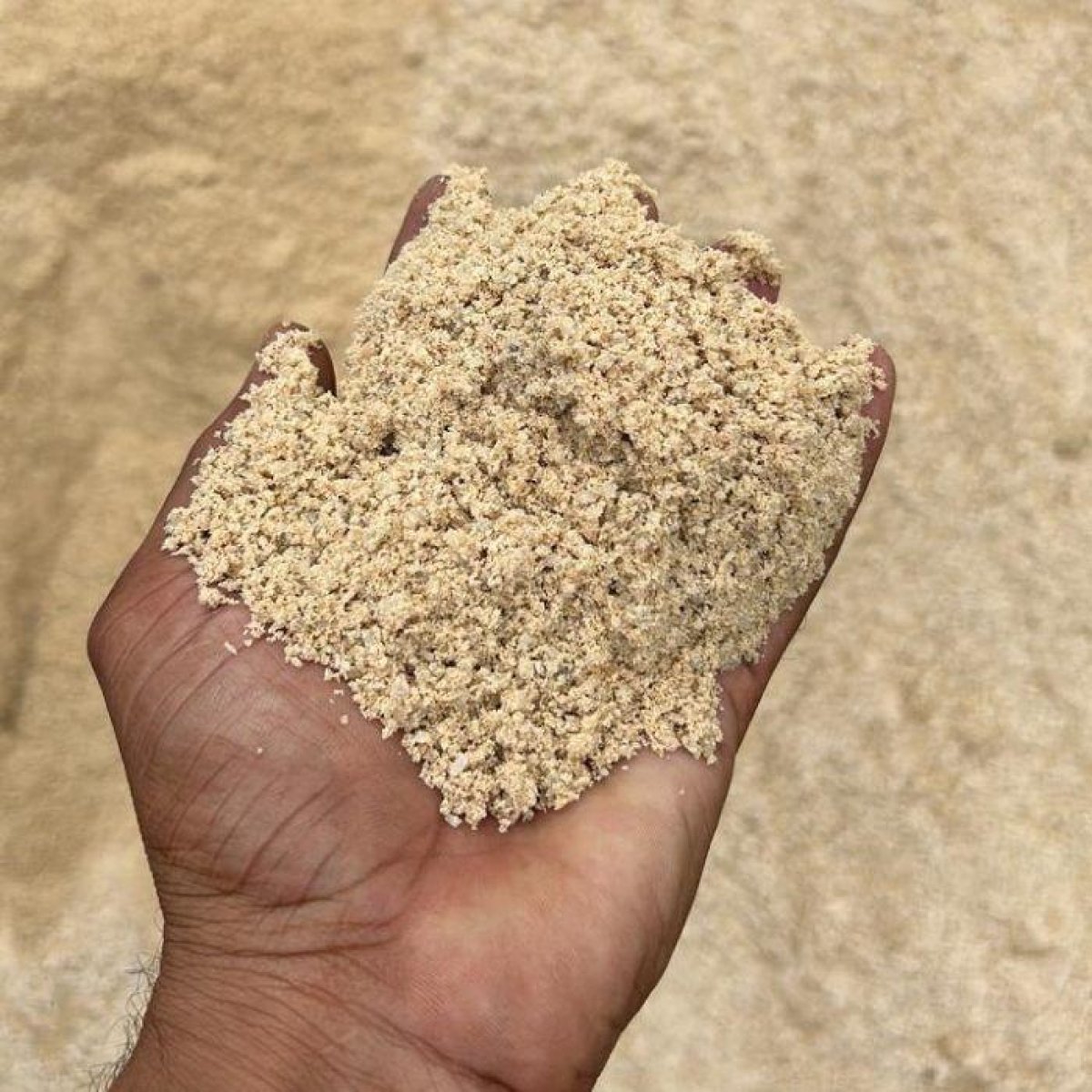 Sand