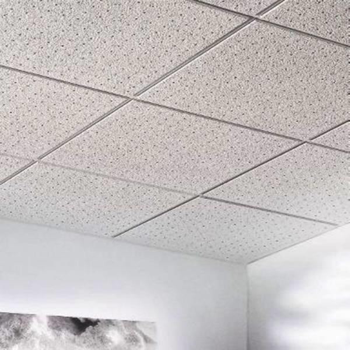 Ceiling Tiles