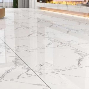 Glazed Ceramic Floor Tiles