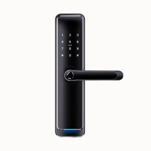 Door Handles & Locks