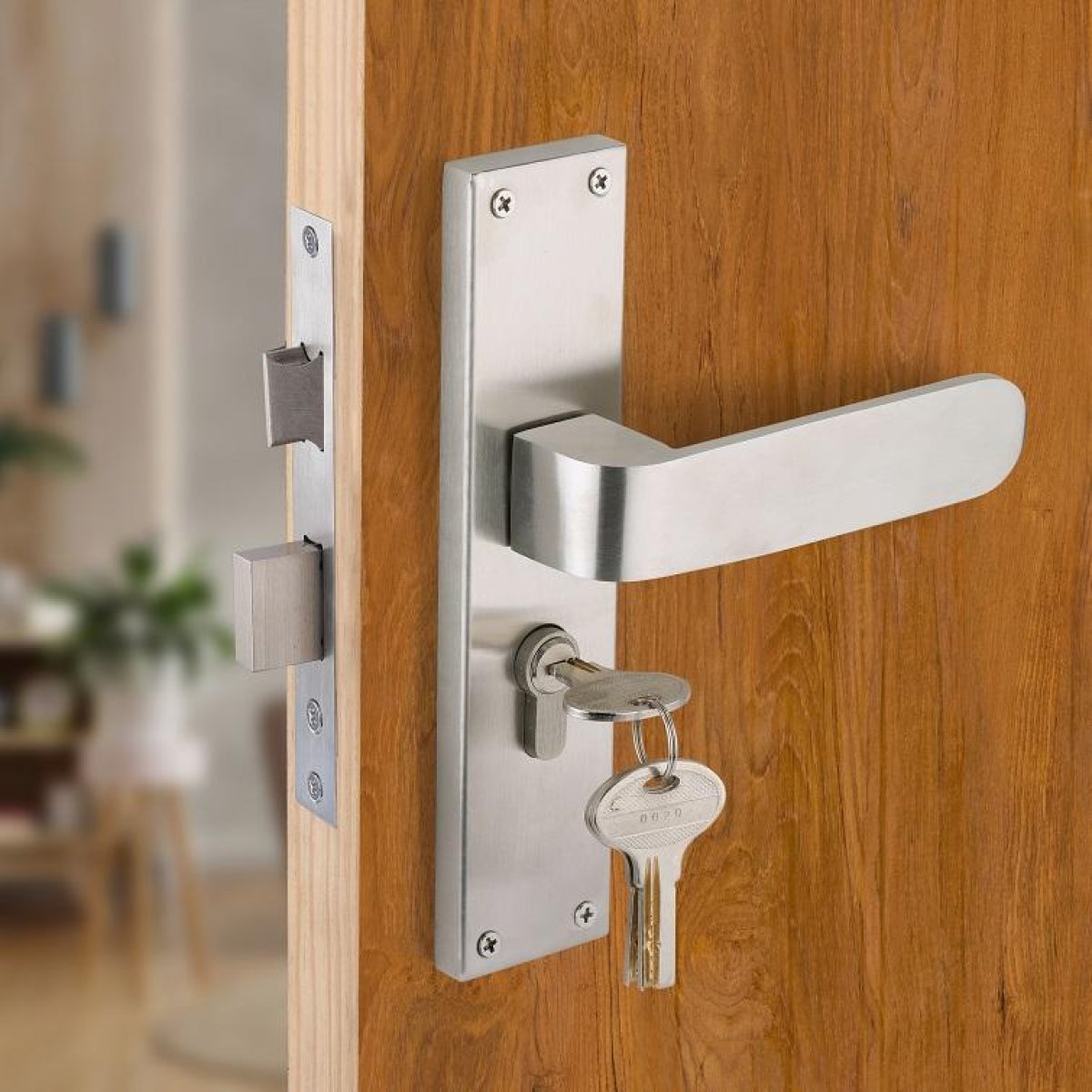 Door Handles & Locks
