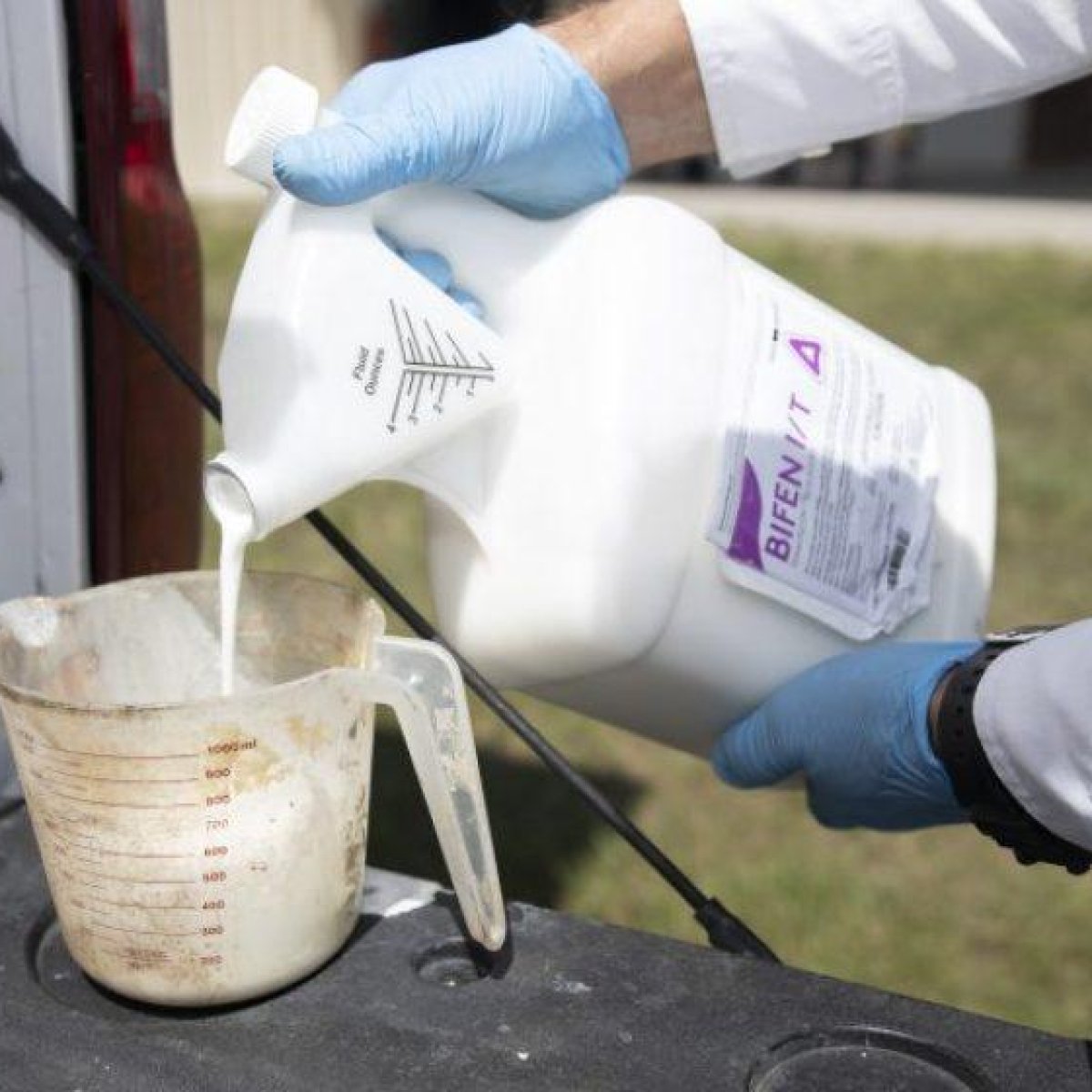 Insecticide Concentrates Liquid