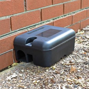 Rodent Bait Stations