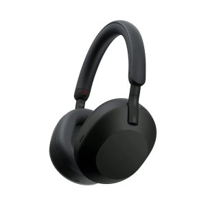 Headphones or Earphones