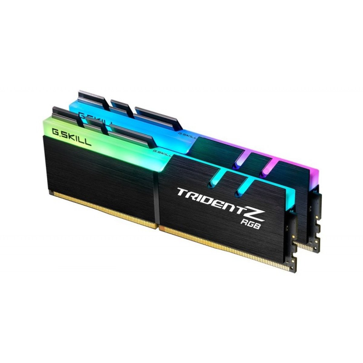 RAM (Random Access Memory)
