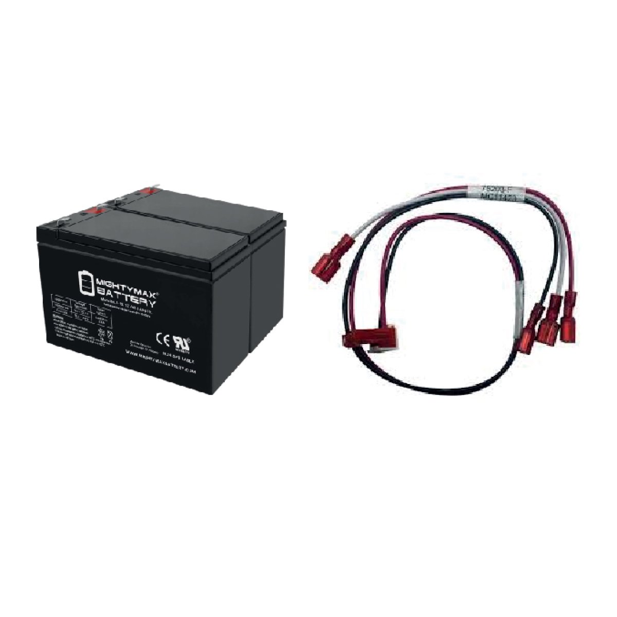 Battery and Charger