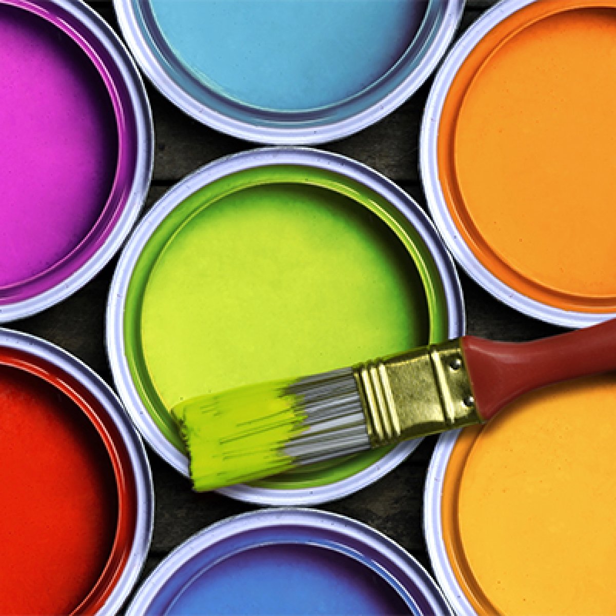 Paint