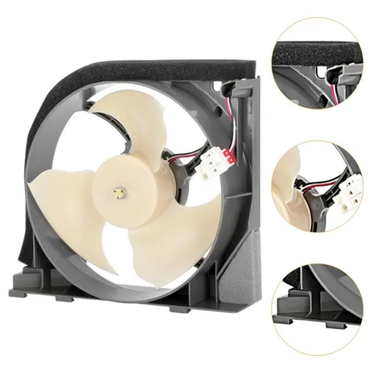 Fan