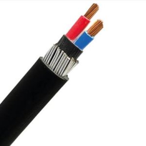 Armored Cable (SWA)