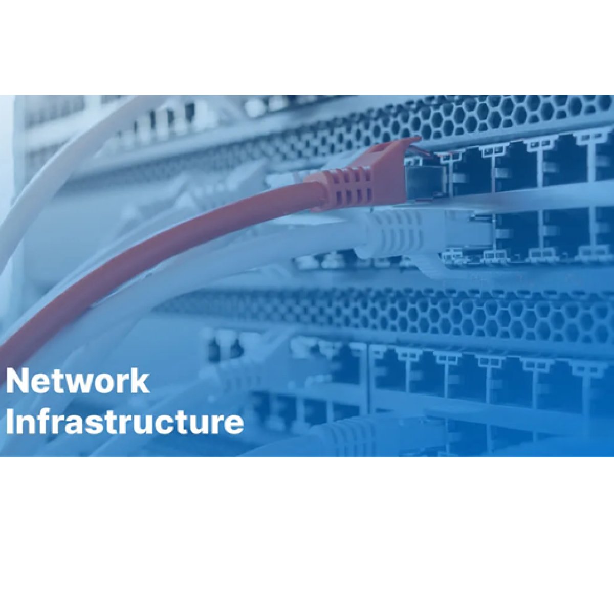 Network Infrastructure