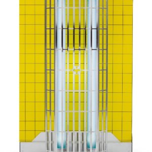 Insect Light Traps