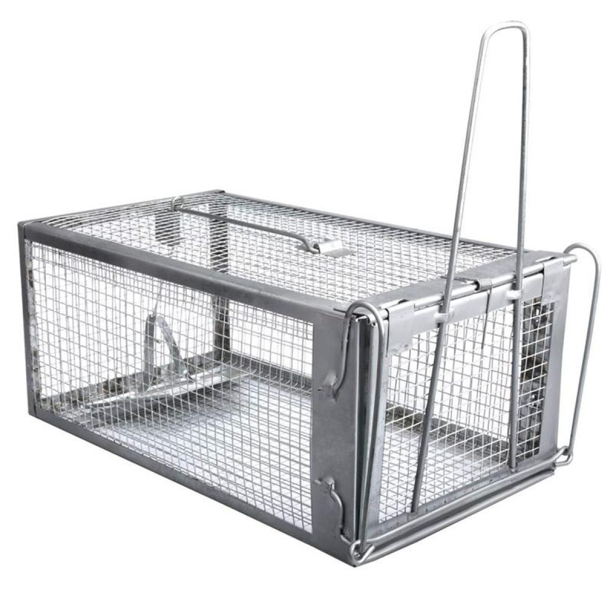 Live Animal Cage