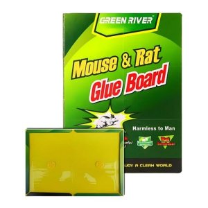 Glue Traps