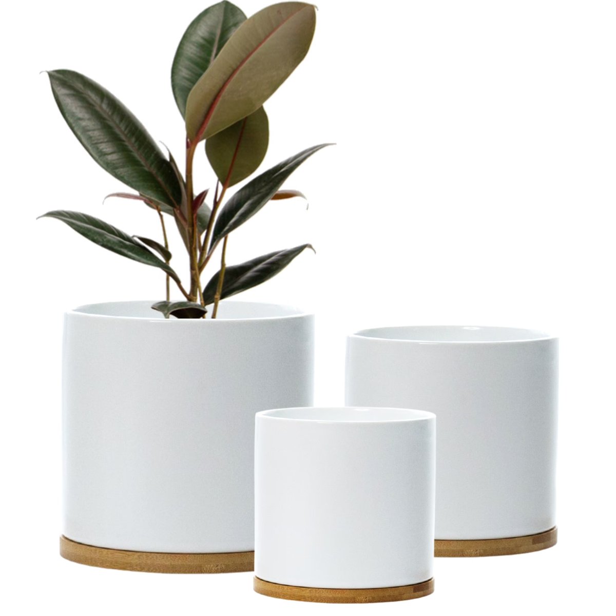 Ceramic Plant Pot