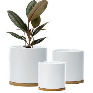 Ceramic Plant Pot