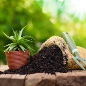 Organic Fertilizer