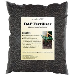 Phosphorus (P) fertilizer