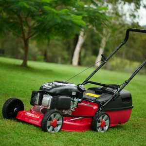 Lawn Mowers