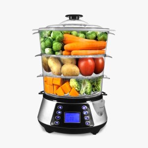 Electric food steamers