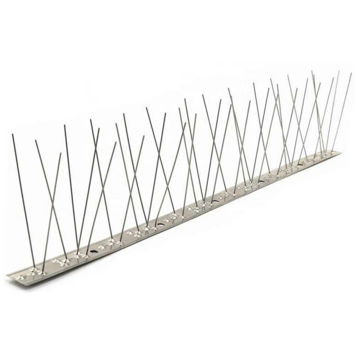 Bird Spikes