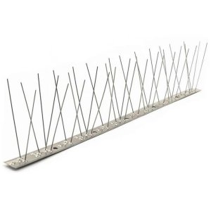 Bird Spikes