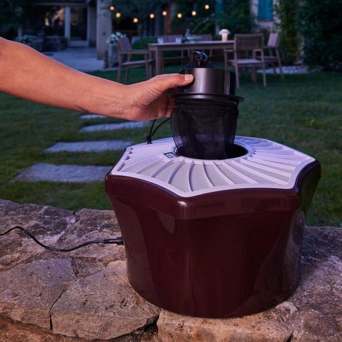 Mosquito Trap
