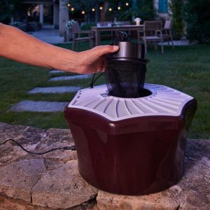 Mosquito Trap