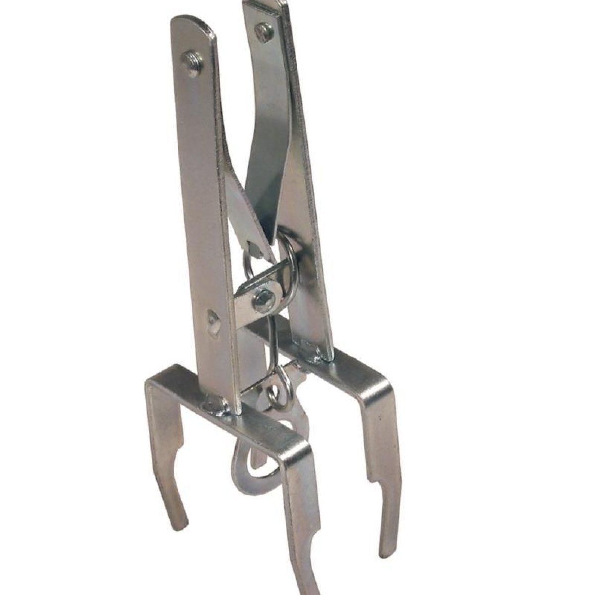 Mole Trap