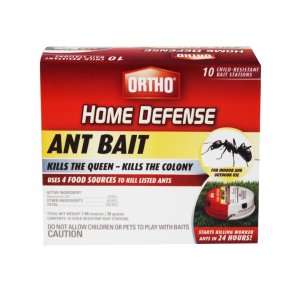 Ant Bait Insecticide
