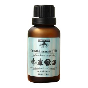 Plant Growth Hormone