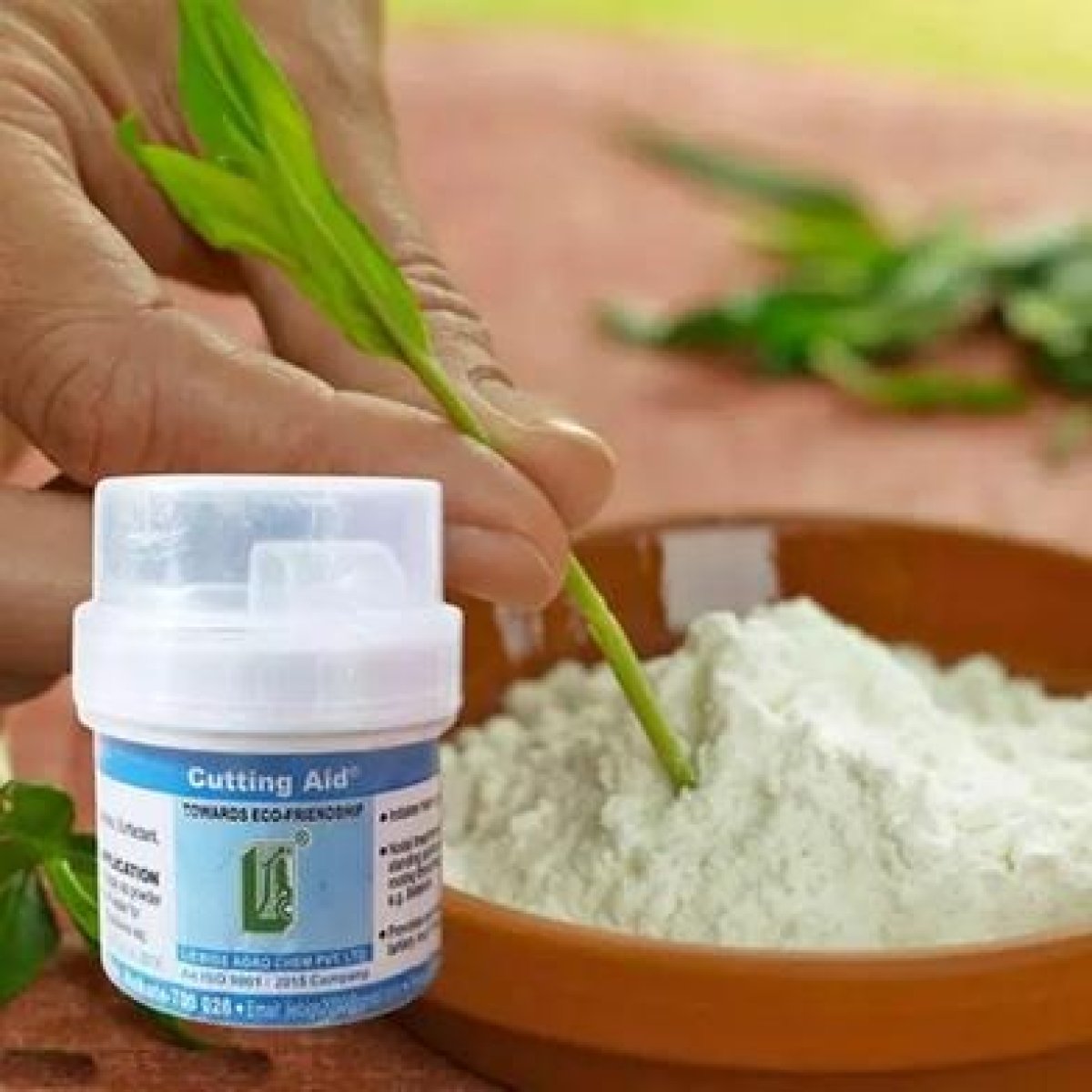 Rooting Hormone