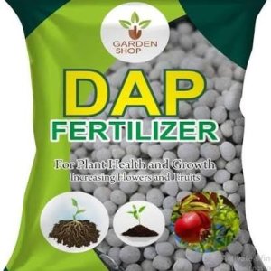DAP Fertilizer