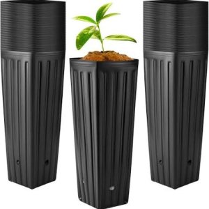 Tree Tub